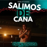 Salimos de Cana - Single - Chuky Indica