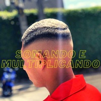 Somando e Multiplicando (feat. Mc Joia Rara) - Single - MC Franci