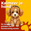 Kalmeer je hond: De rustgevende geluiden van benchtraining muziek - Mijn Hond Ontspannen