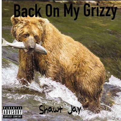 Back On My Grizzy - Single