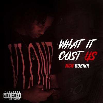 What it Cost Us - Single