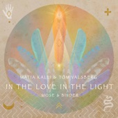 In the Love in the Light (feat. Tom Valsberg) artwork