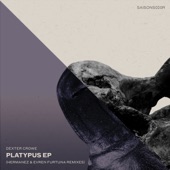 Platypus (Evren Furtuna Remix) artwork