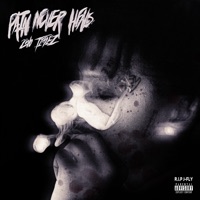 Pain Never Heals - 2wo Timez