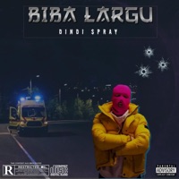 Biba Largu - Single - Dindi Spray