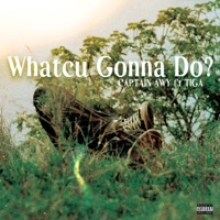 Whatcu Gonna Do (feat. Tiga & Trend Major) - Single - Captain Awy