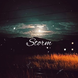 Storm (Extended version) Dave D.