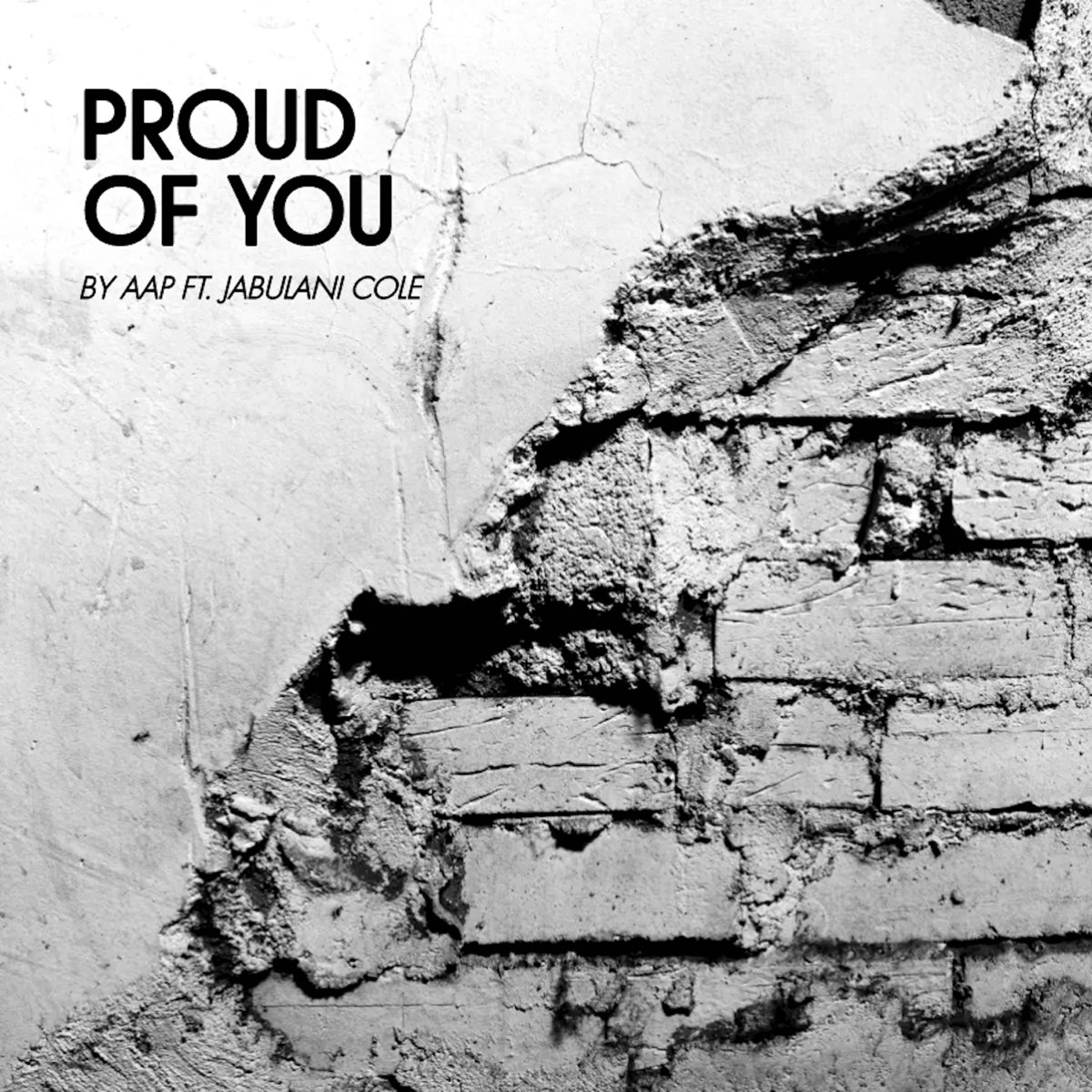 ‎Proud of You (Acapella) [feat. Jabulani Cole] - Single - Album by Aap ...