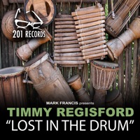Lost in the Drums - Single - Timmy Regisford