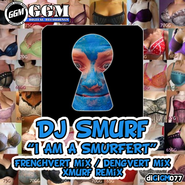 I Am a Smurfert - Single