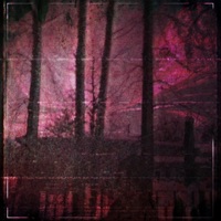 Lust of Bipolarity - Single - VISXGE