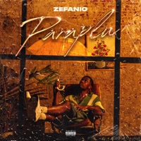Paraplu - Single - Zefanio