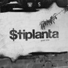 $tiplanta, KOLJO & Mana