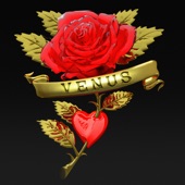 Venus (Boys Noize Rework) artwork