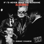 If I'd Never Seen the Sunshine (feat. Dominic Chianese) artwork