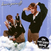 On My Way Home - Single - Goldbird & Joe Cleere