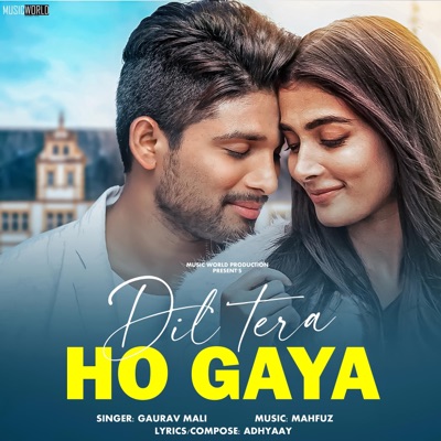 Dil Tera Ho Gaya - Single