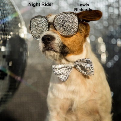 Night Rider Go! - Single