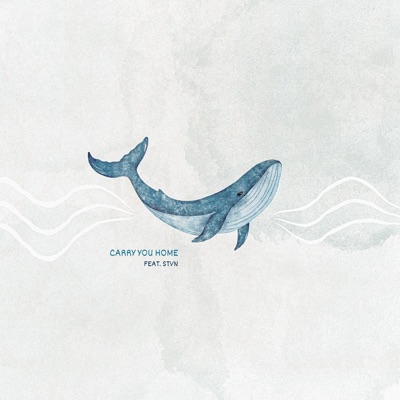 Carry You Home (feat. STVN) - Single