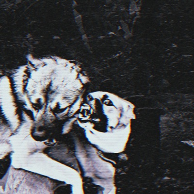 Leben ohne Licht - EP