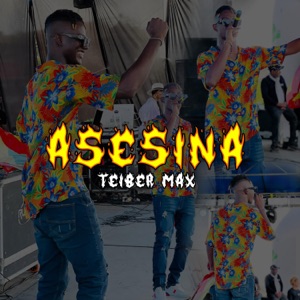 Asesina (feat. Teiber Max)