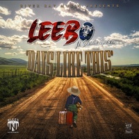 Days Like This (feat. Dustin Spears) - Single - Leebo