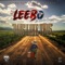 Days Like This (feat. Dustin Spears) - Leebo lyrics