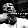 Fly High - Single