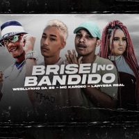 Brisei No Bandido - Single - Wesllynho da zs, Mc Kardec & Laryssa Real