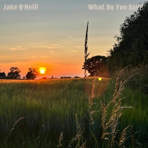 Jake O'Neill - What Do You Say? - Line Dance Music