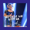 Sei Lá Se Vai Voltar - Single