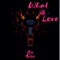 What Is Love (Sped Up Version) [Remix] artwork