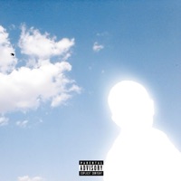 Cap Shit! - Single - flowerwebs