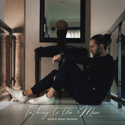 Talking To the Moon - Single