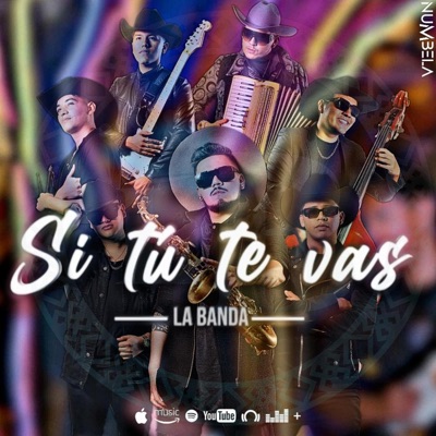 Si tu te vas - Single