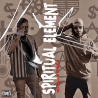 Spiritual Element (feat. B Nation) - Single - Wes DeLux