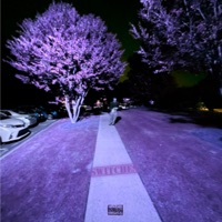 Switches - Single - BredGawd