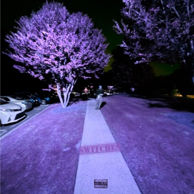 Switches - Single