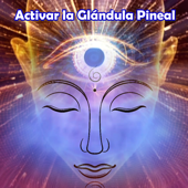 Activar la Glándula Pineal - Emiliano Bruguera