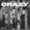 NERVO, Plastik Funk, Elle Vee, Esox - Crazy (Plastik Funk & Esox Remix)