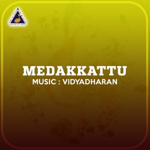 Medakkattu (Original Motion Picture Soundtrack) - Single