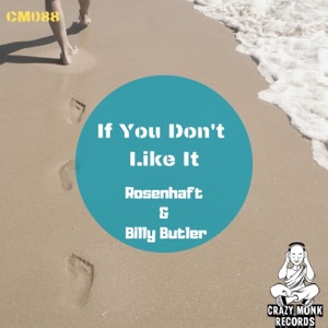 If You Don'tLike It - Single
