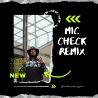 Mic Check (8keey & Cybah) - Single - Freakquency