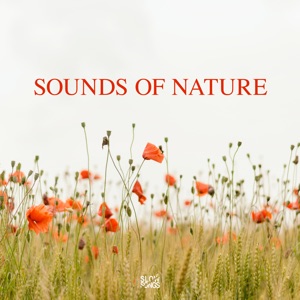 Sounds of Nature - EP