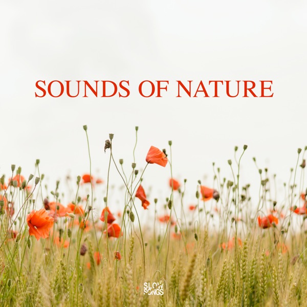 Sounds of Nature - EP