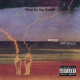 What Do You Know? (feat. Hxrt Hxllow) wavyy