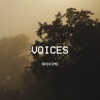 Voices - Single