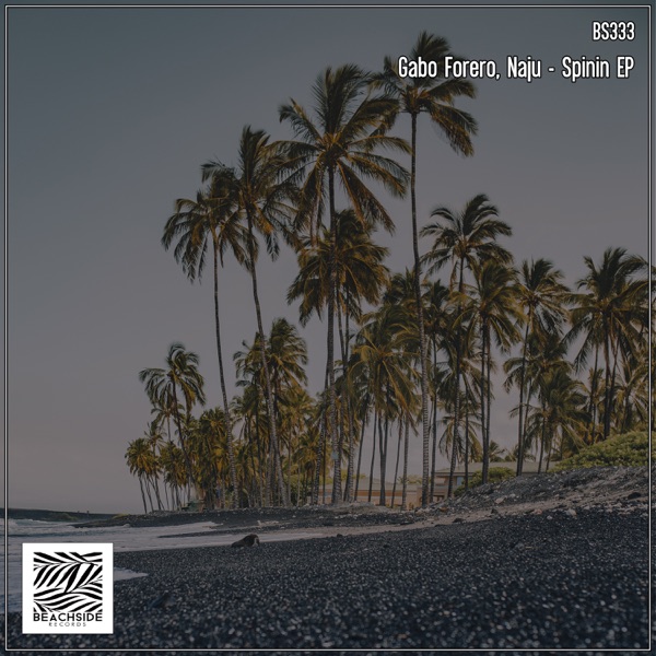 Spinin - Single