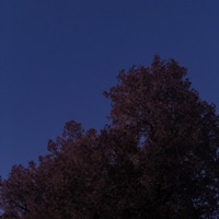 Heal - Single - Blu Velvet