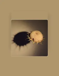 Light Blue Lines: песни, клипы, биография, даты выступлений и многое другое.